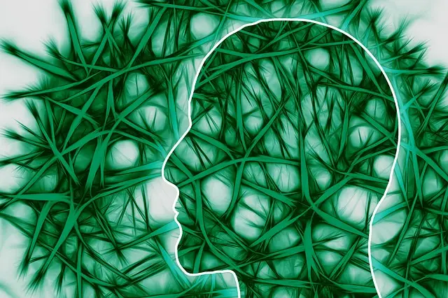 Salud y enfermedad como continuum. Epigenética y programación fetal 2 neural pathways 221718 640