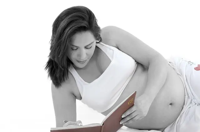 Salud y enfermedad como continuum. Epigenética y programación fetal 1 pregnant 453197 640
